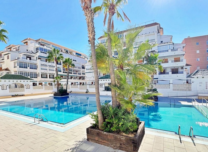 Apartamento / piso en La Mata