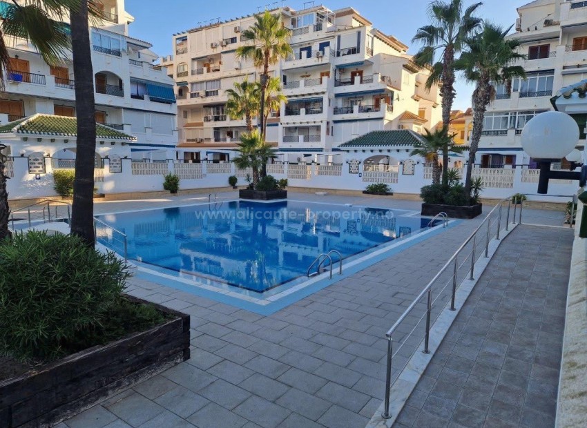 Apartamento / piso en La Mata