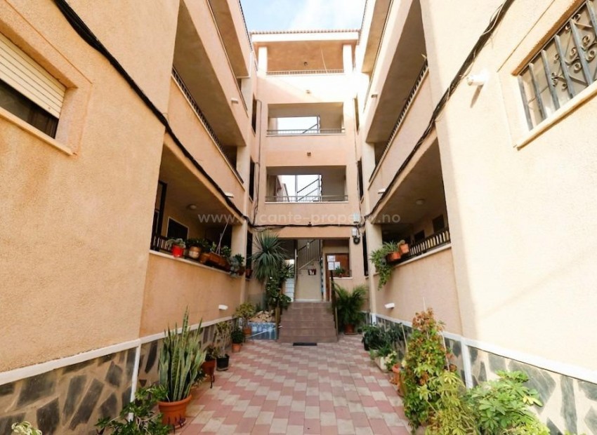 Apartamento / piso en La Siesta