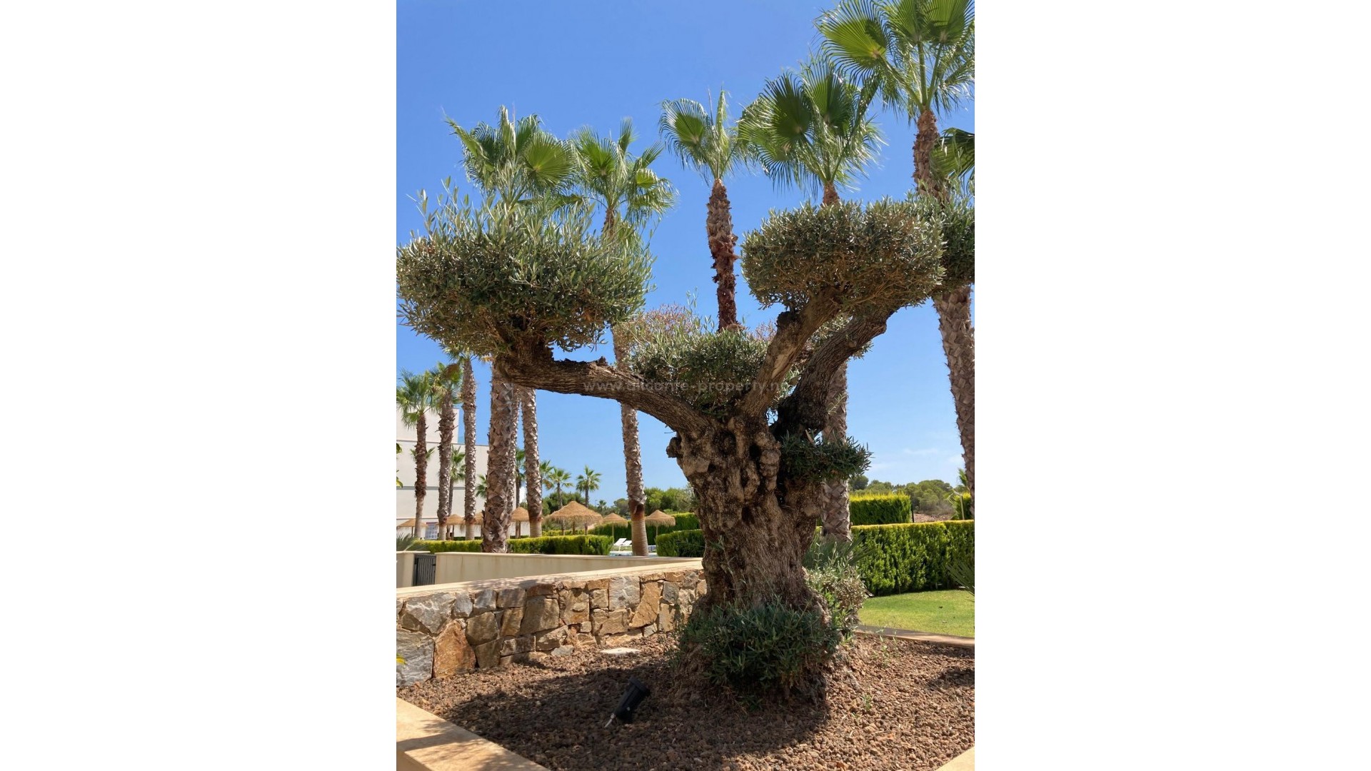 Apartamento / piso en Las Colinas Golf Resort
