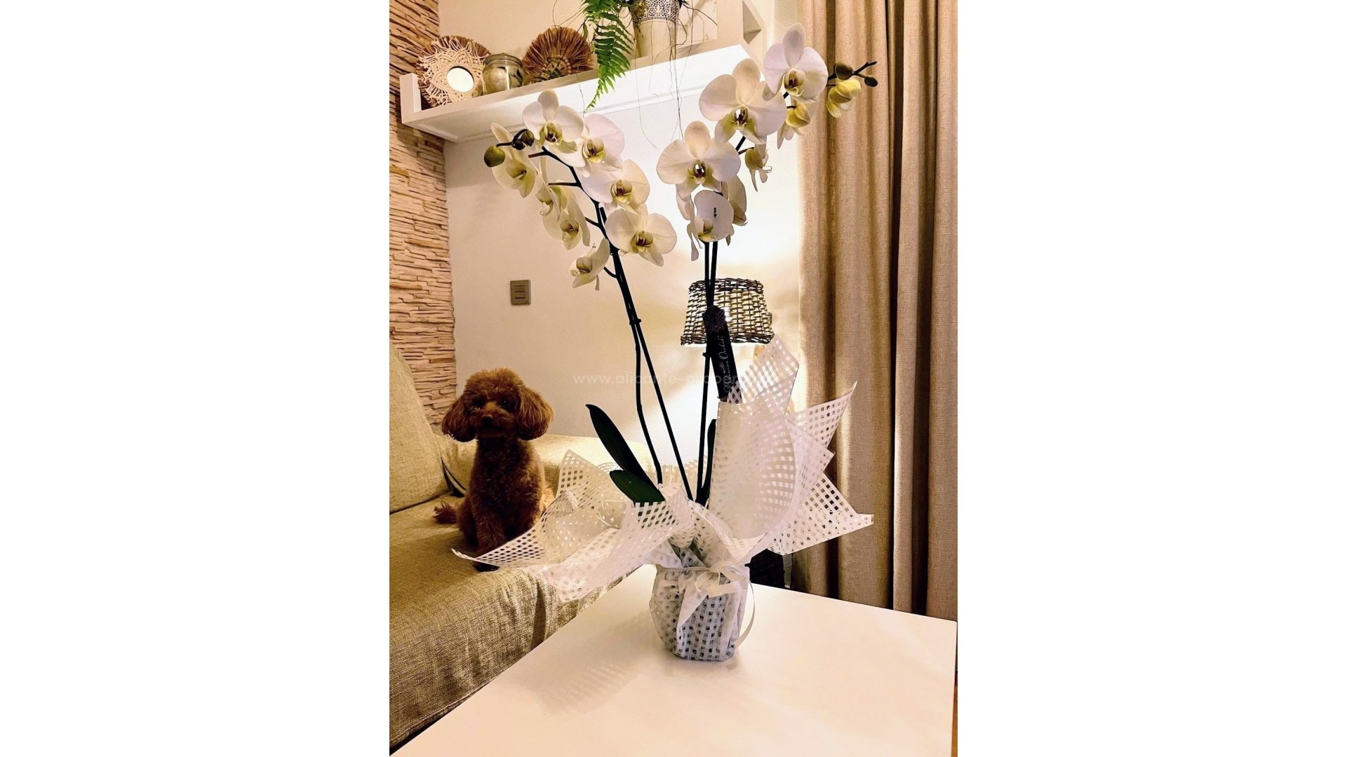 Apartamento / piso en Los Alcazares Centro