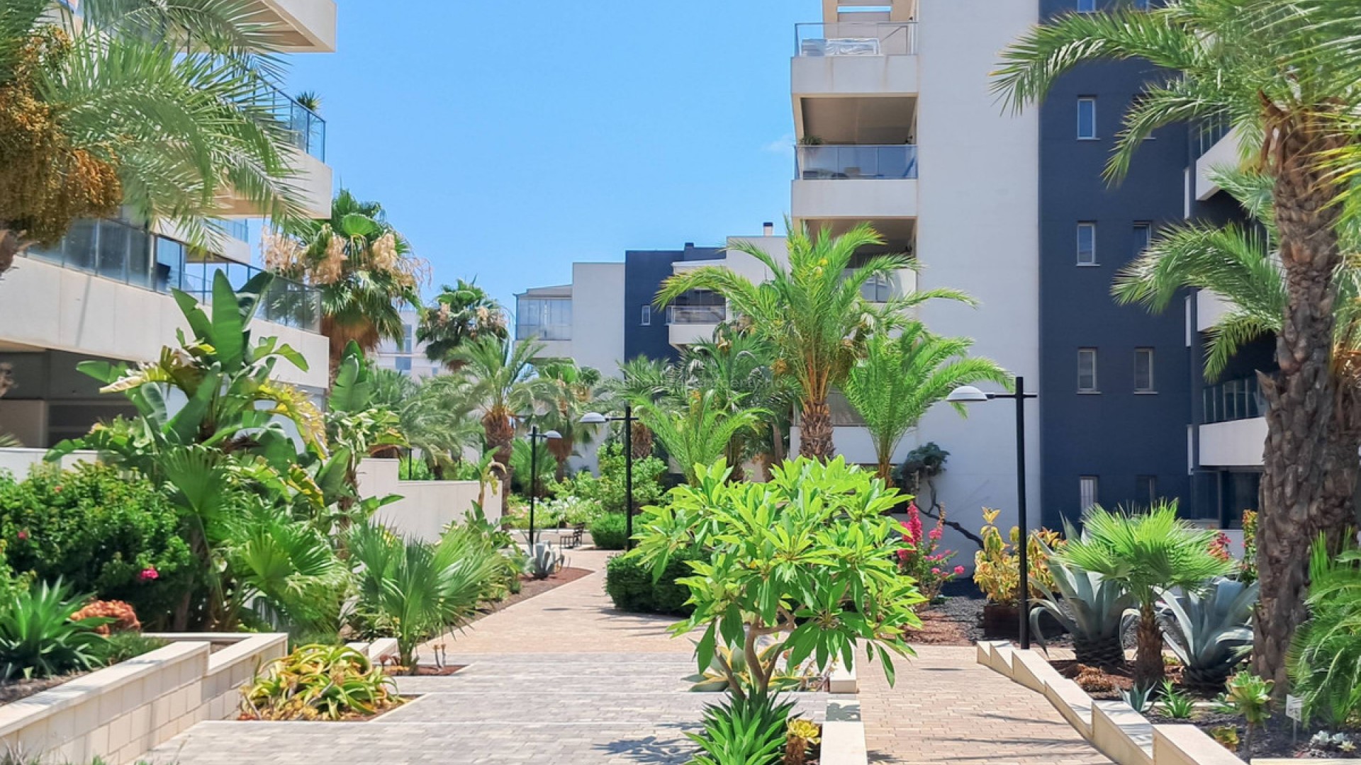 Apartamento / piso en Los Dolses