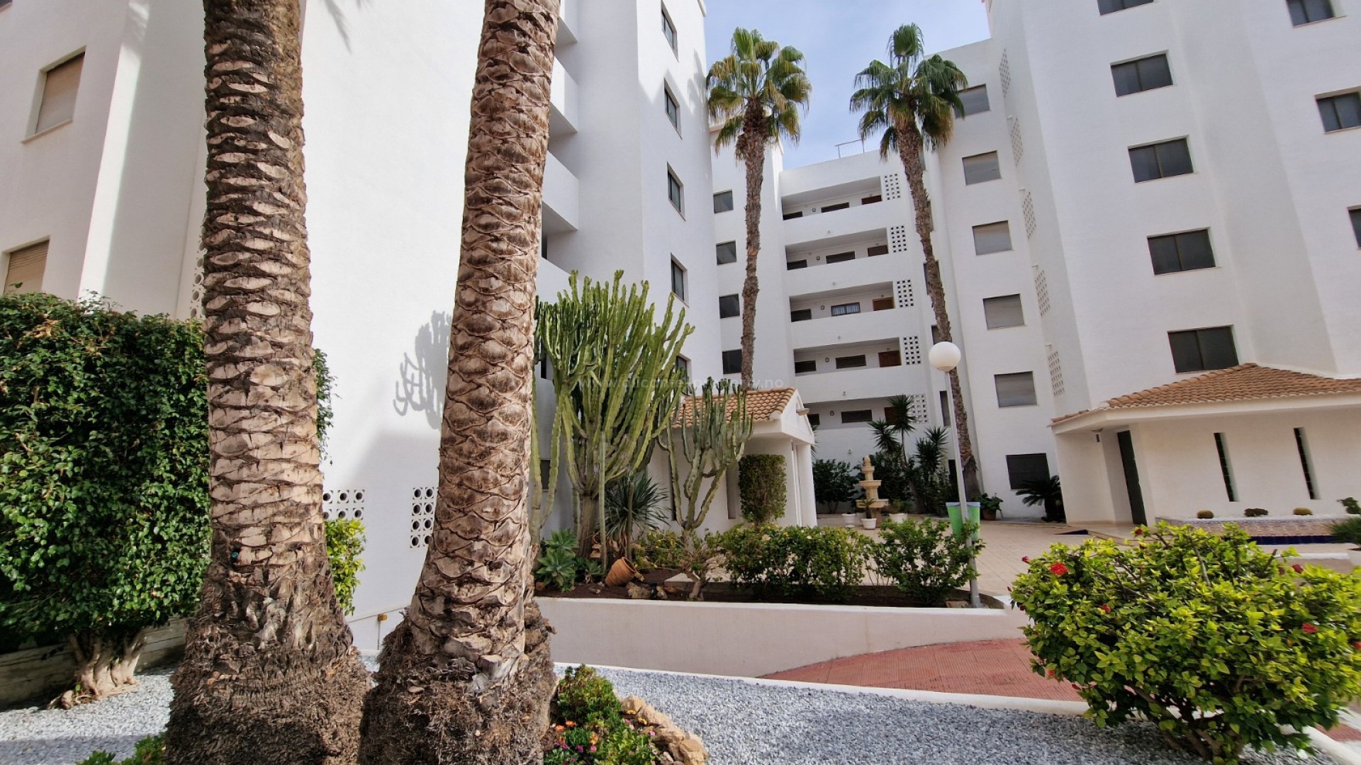 Apartamento / piso en Mercadona Guardamar