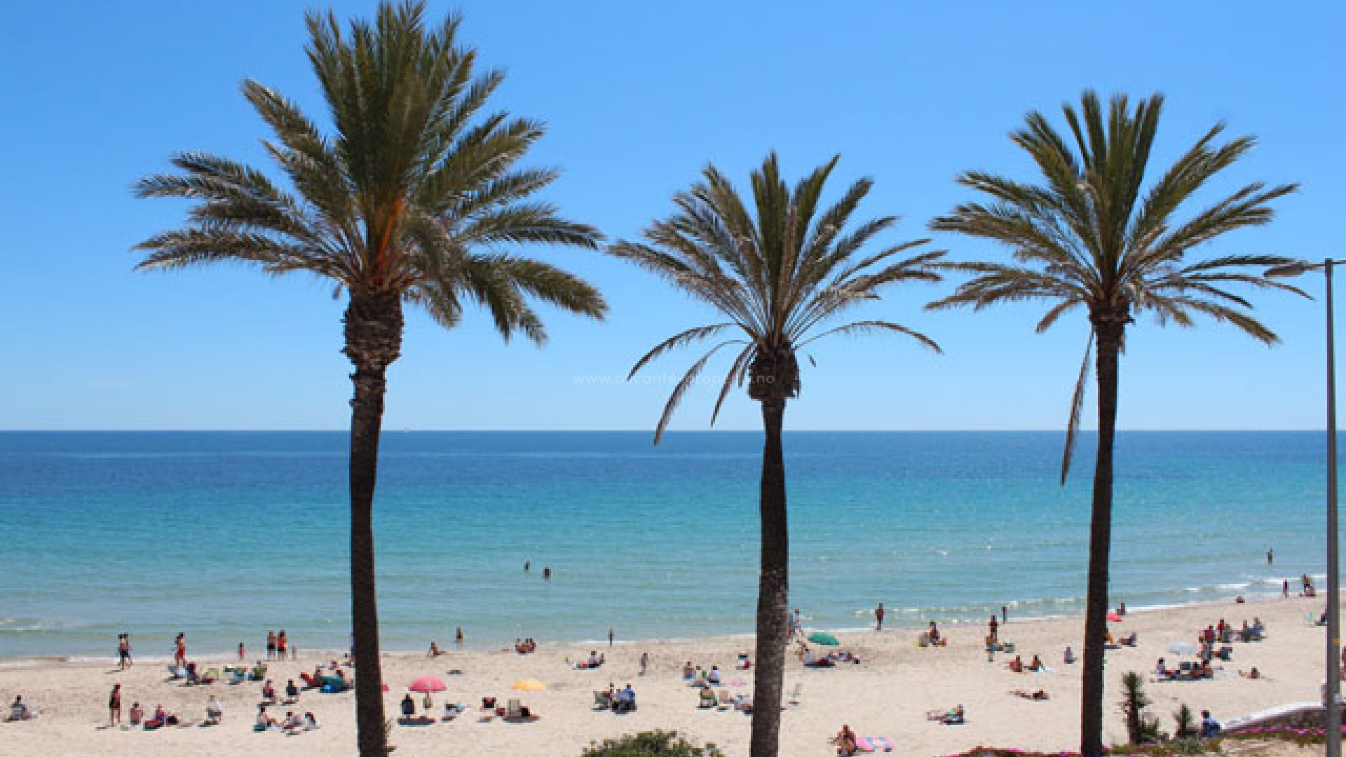 Apartamento / piso en Mil Palmeras