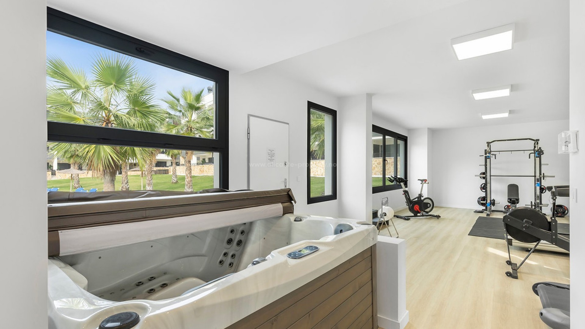 Apartamento / piso en Orihuela Centro