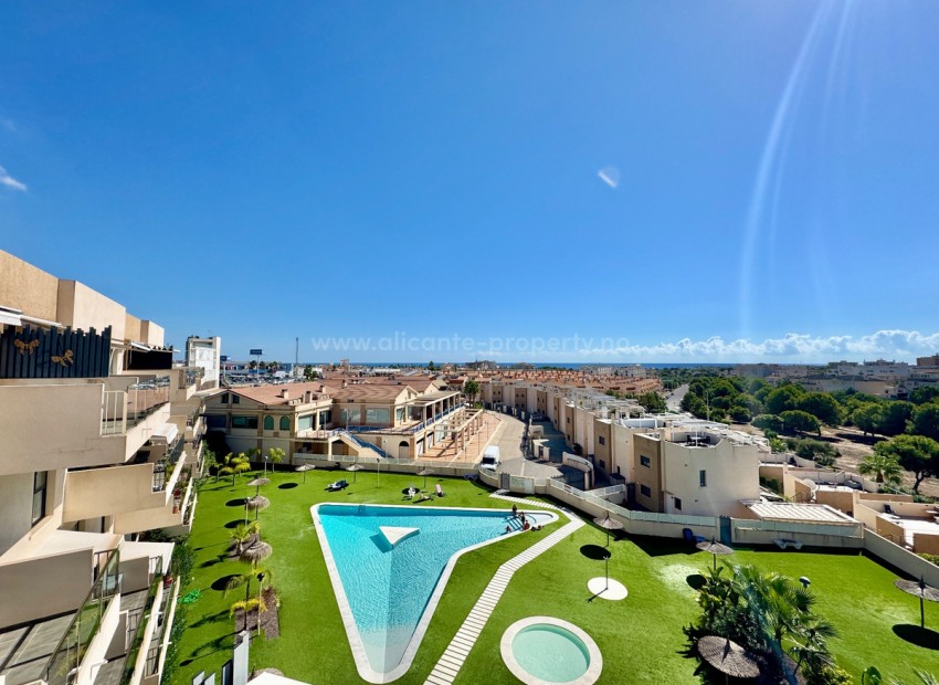 Apartamento / piso en Orihuela Centro