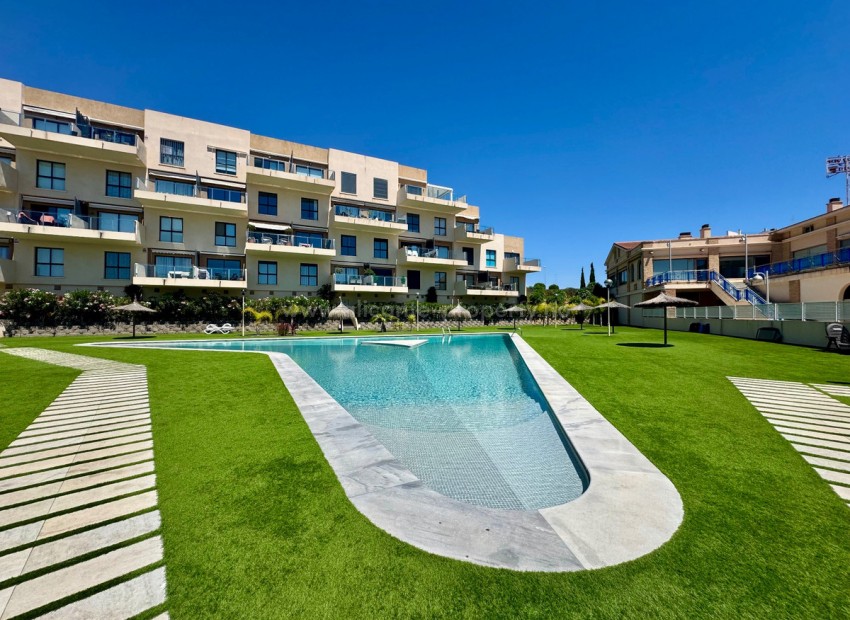 Apartamento / piso en Orihuela Centro