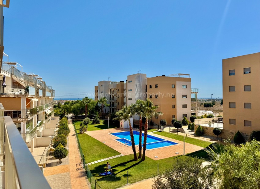 Apartamento / piso en Orihuela Centro