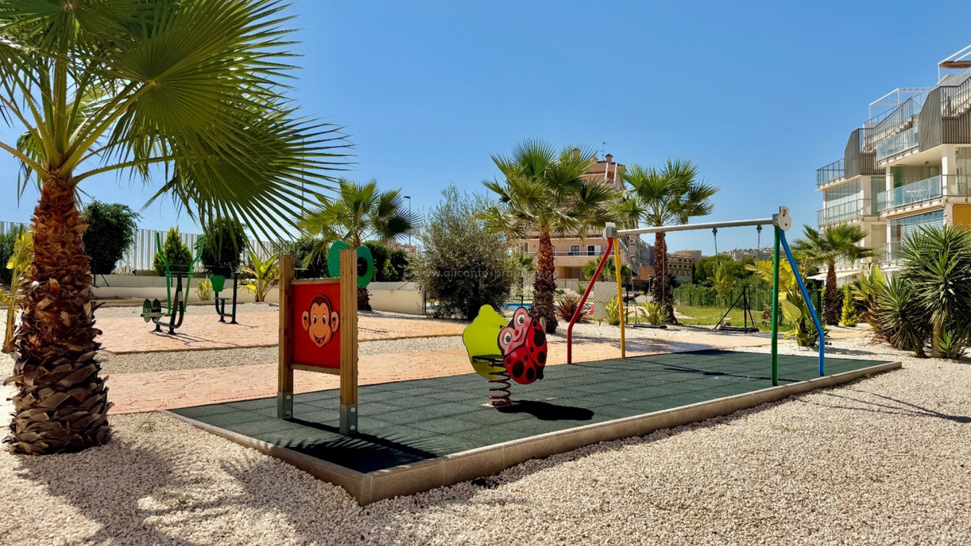 Apartamento / piso en Orihuela Centro