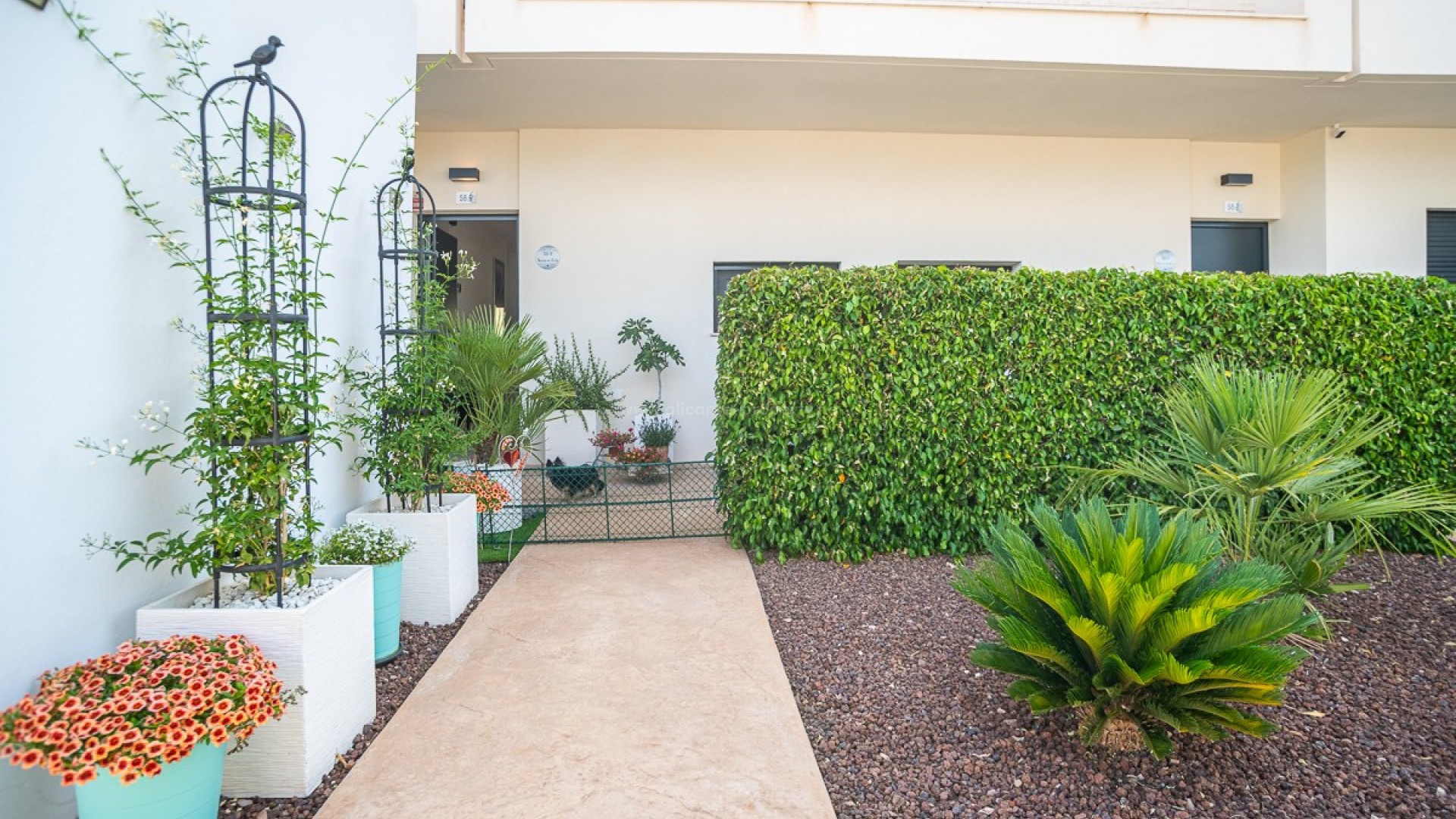 Apartamento / piso en Pilar de la Horadada Centro