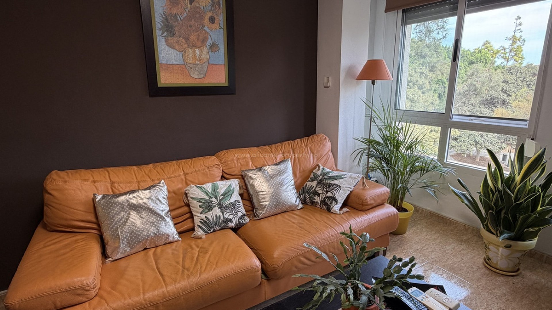 Apartamento / piso en Pilar de la Horadada Centro