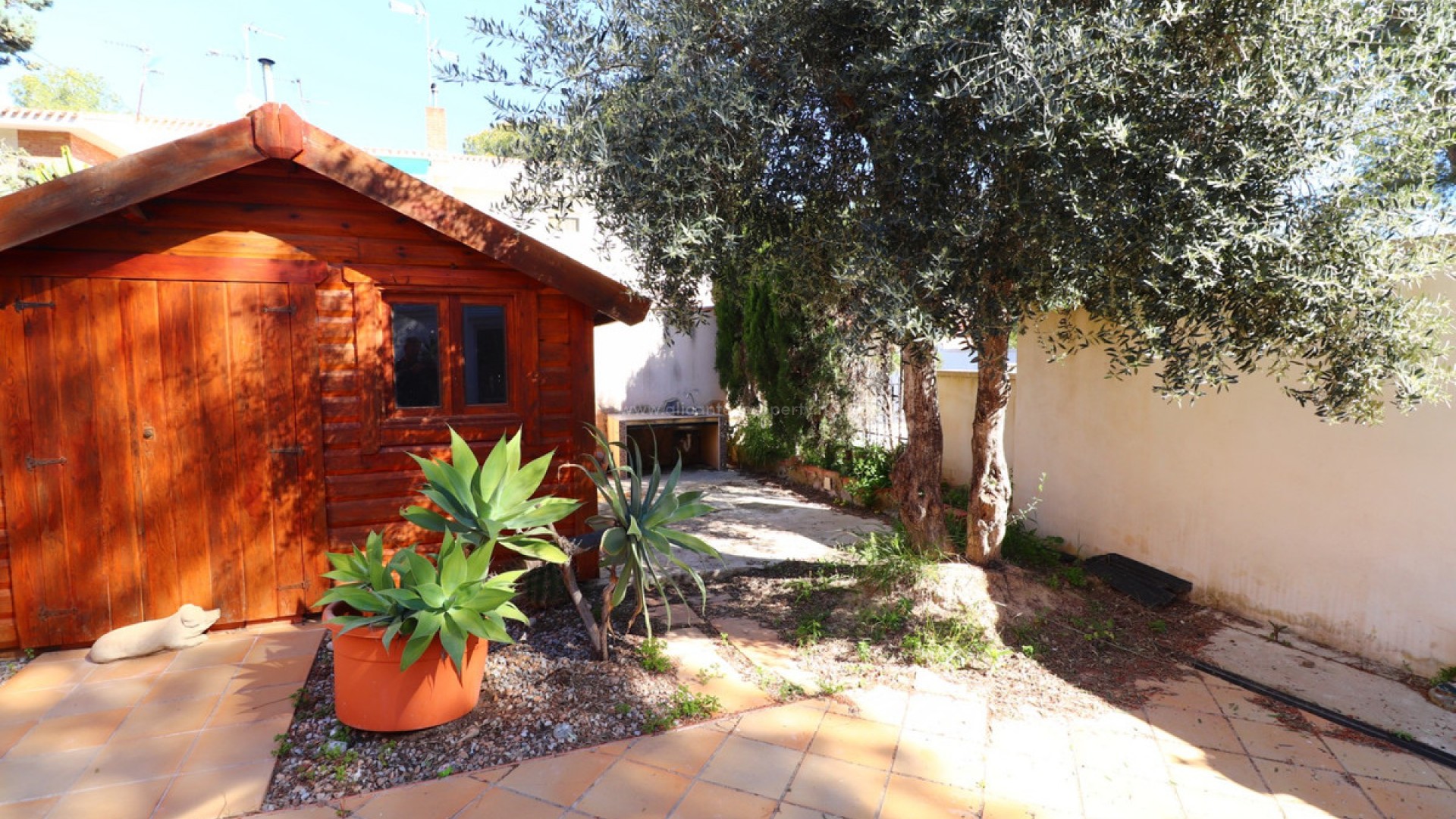 Apartamento / piso en Pinar de Campoverde