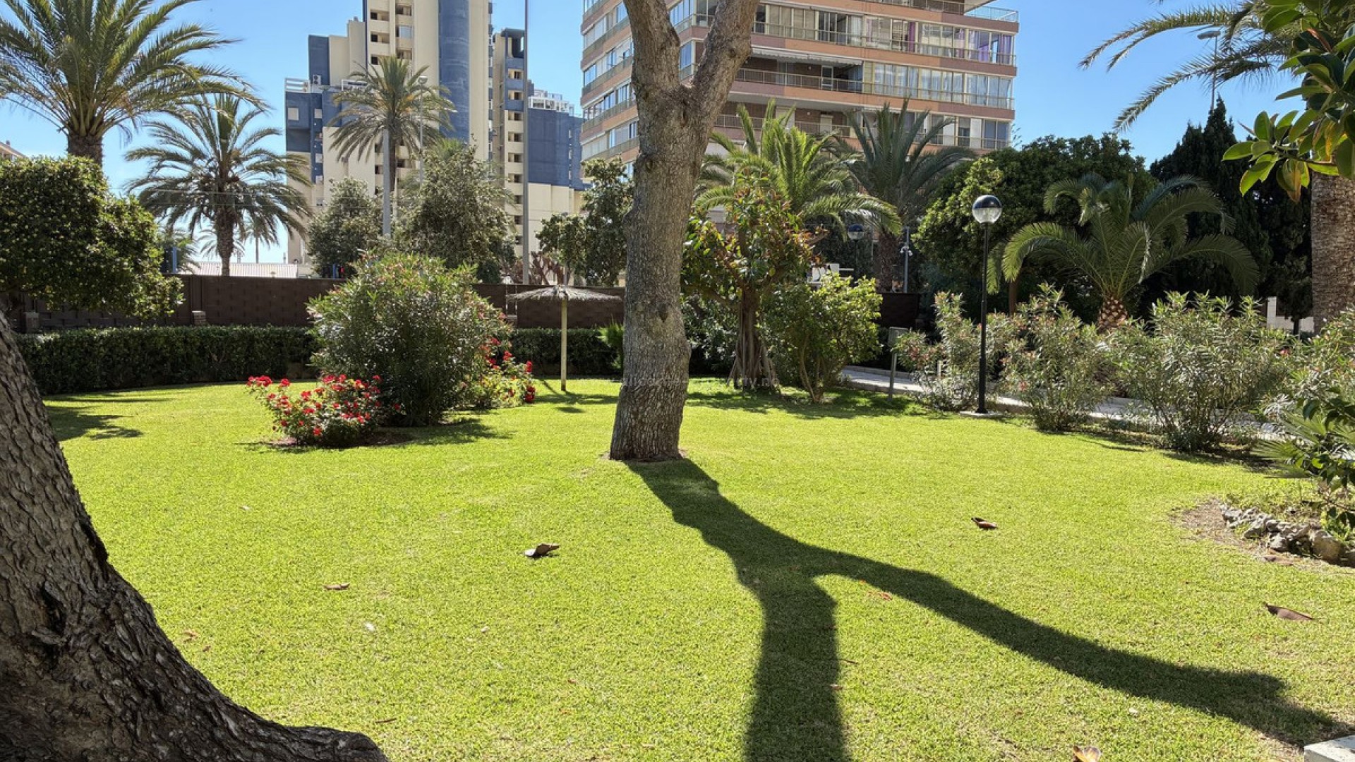 Apartamento / piso en Playa de San Juan