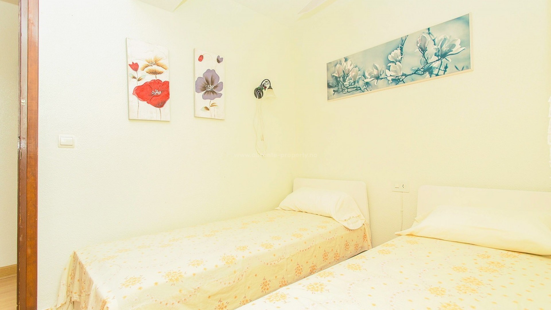 Apartamento / piso en Playa del Cura