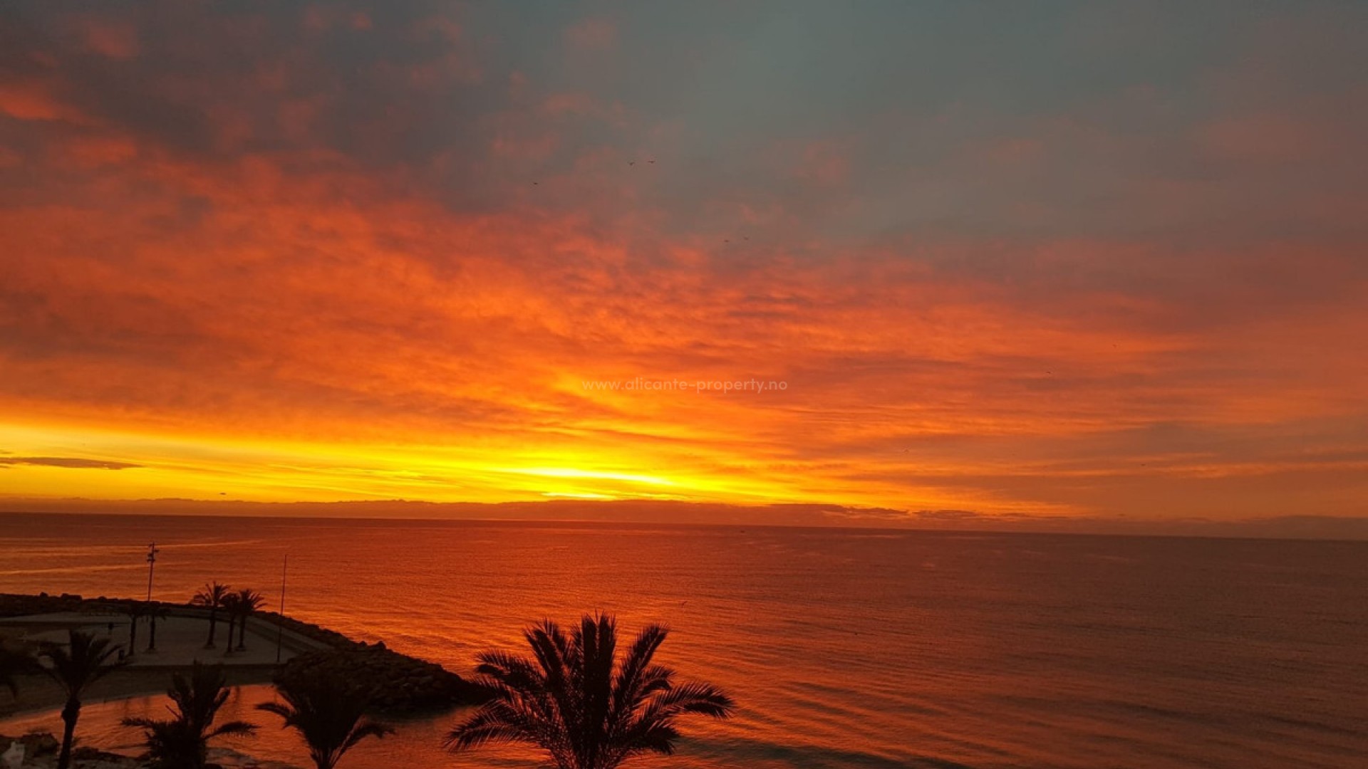 Apartamento / piso en Playa del Cura