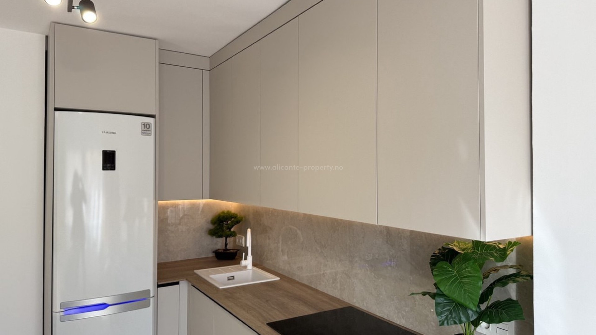 Apartamento / piso en Playa del Cura