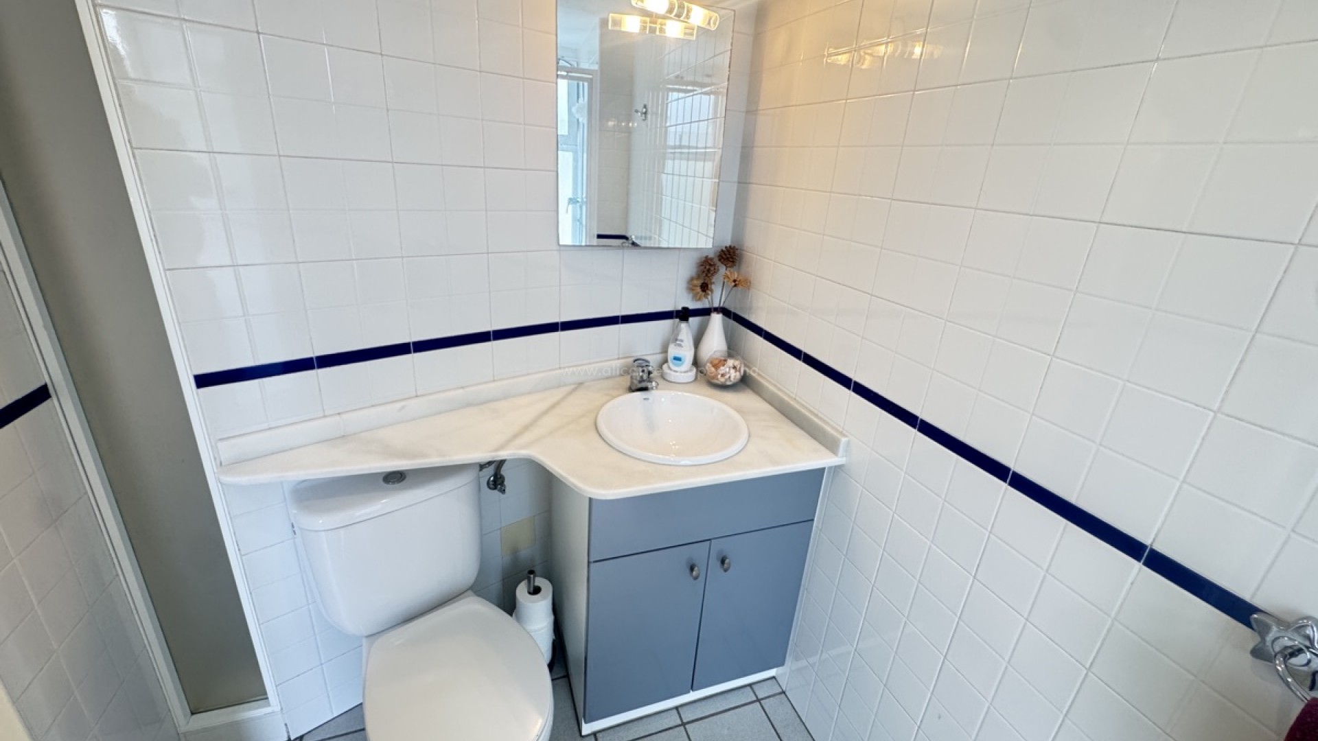 Apartamento / piso en Playa Flamenca