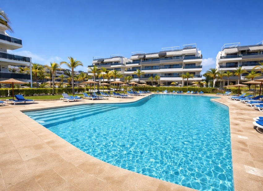 Apartamento / piso en Playa Flamenca