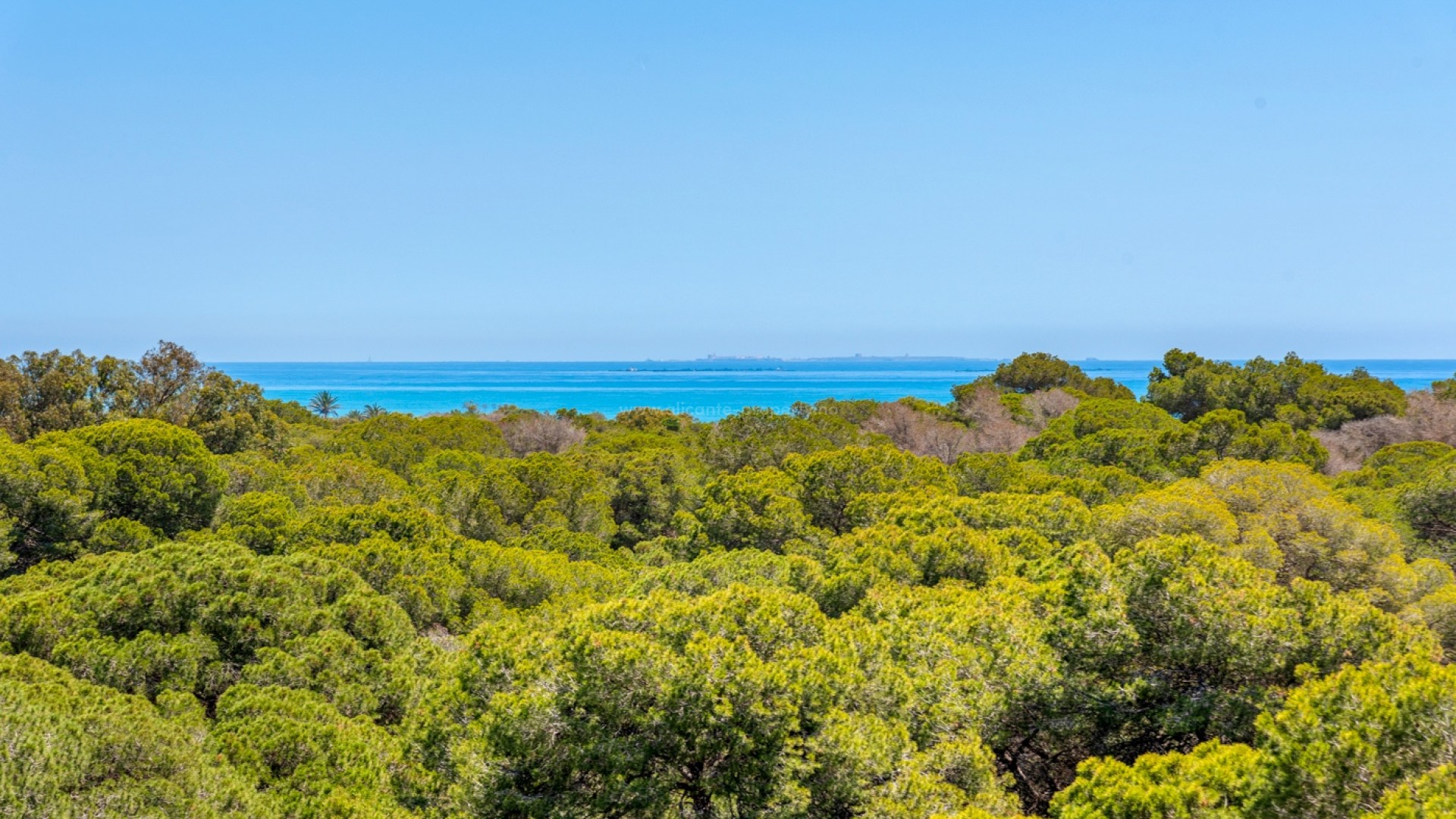 Apartamento / piso en Puerto Deportivo