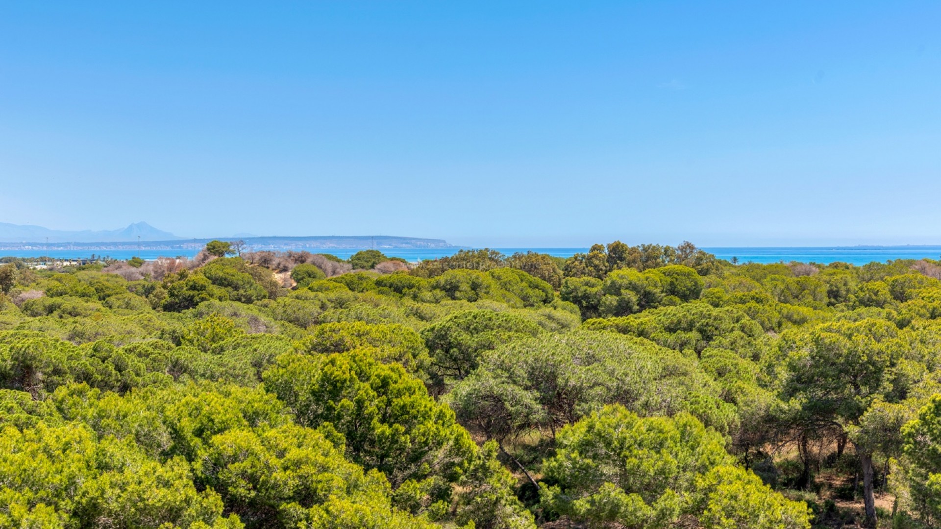 Apartamento / piso en Puerto Deportivo