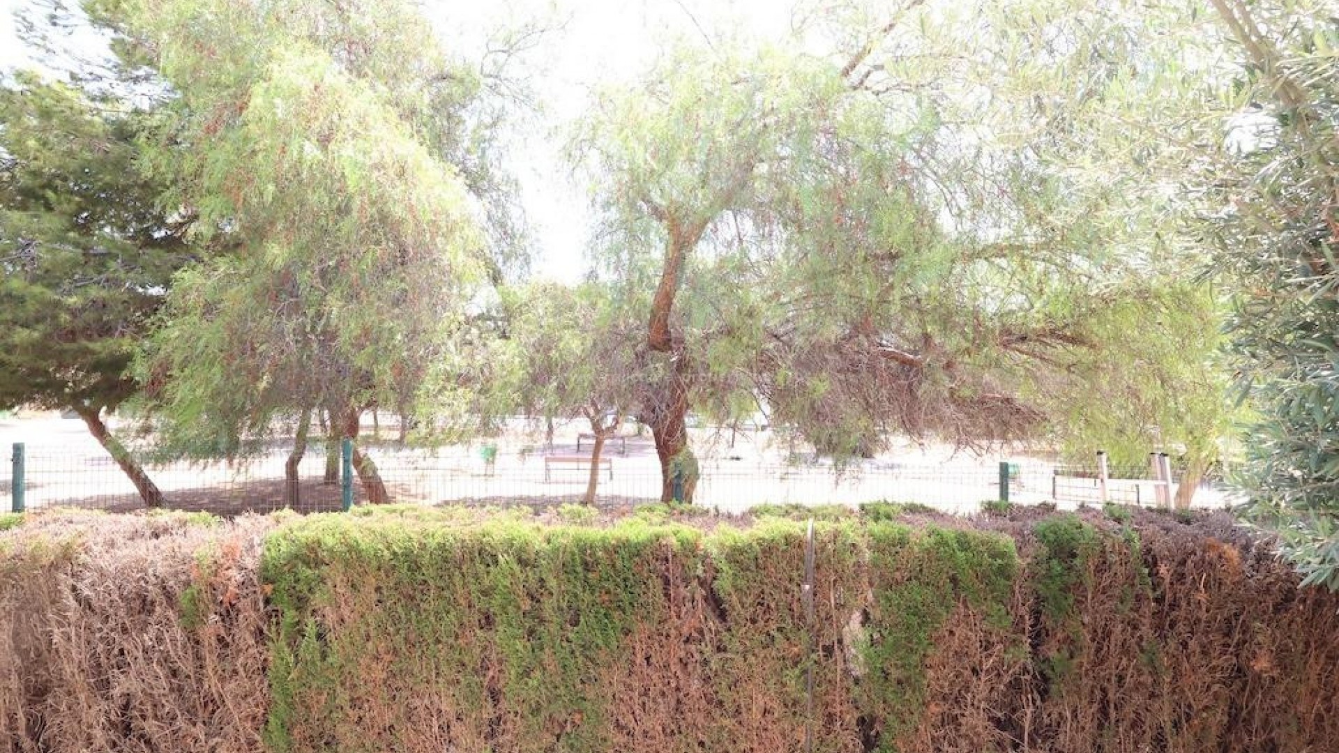 Apartamento / piso en Punta Prima