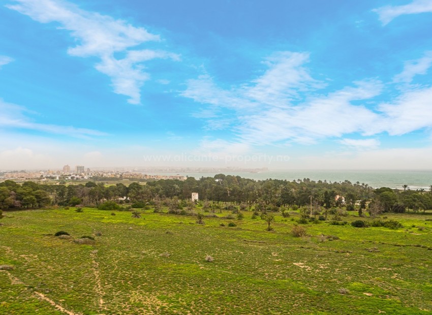 Apartamento / piso en Punta Prima