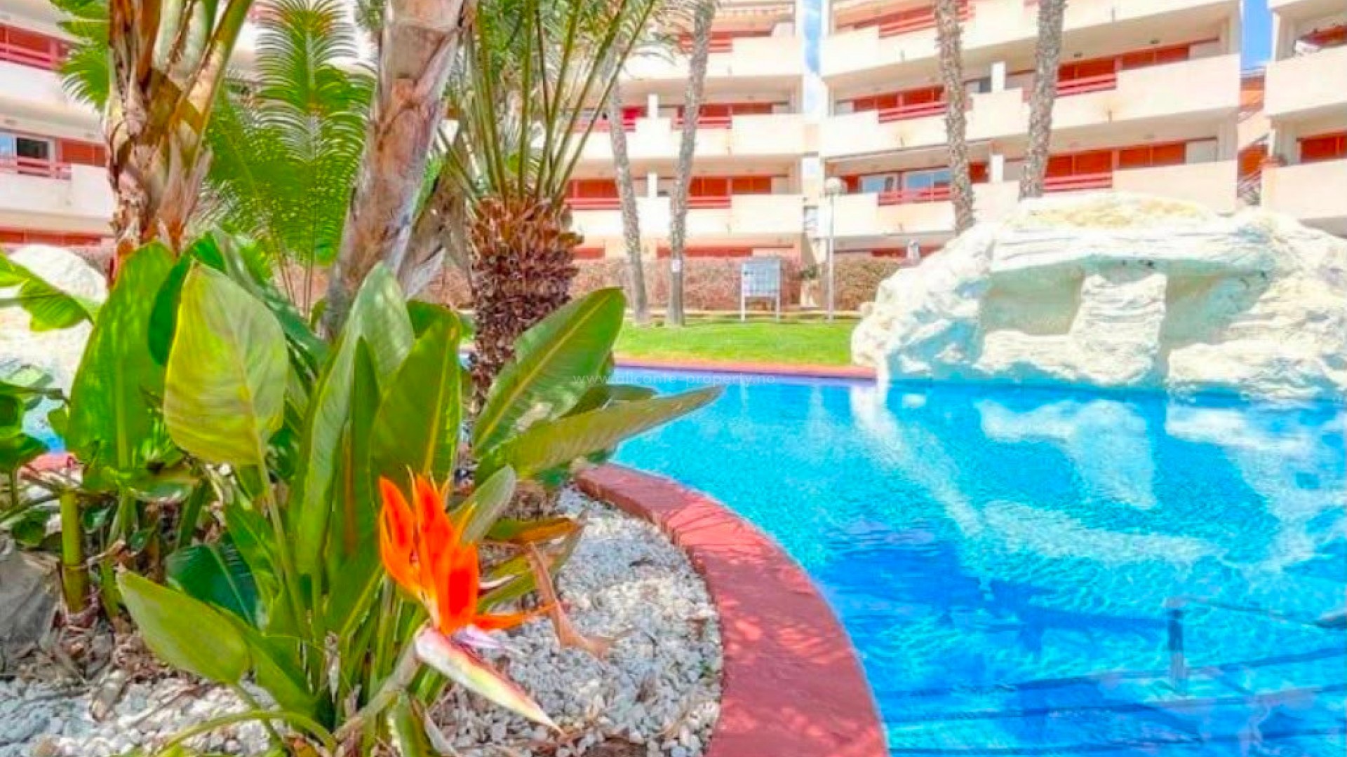 Apartamento / piso en Punta Prima