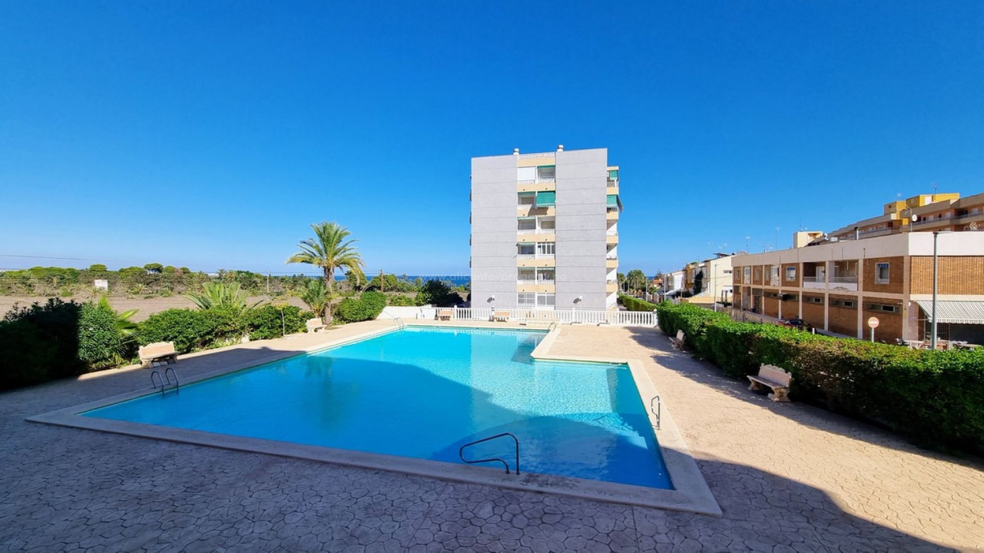 Apartamento / piso en Punta Prima