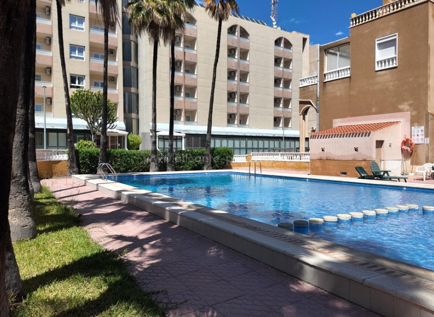 Apartamento / piso en Punta Prima