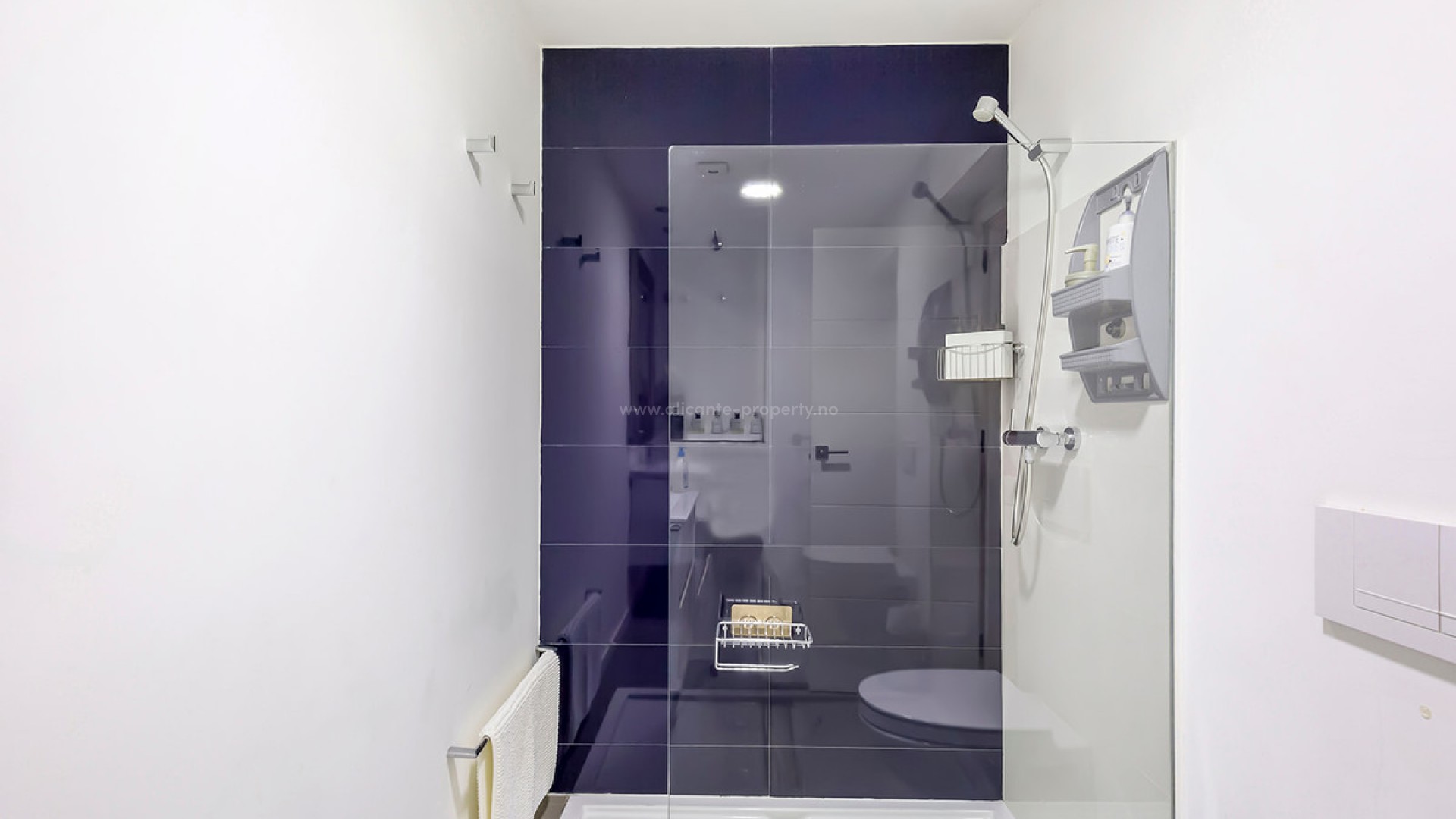 Apartamento / piso en Torre de la Horadada