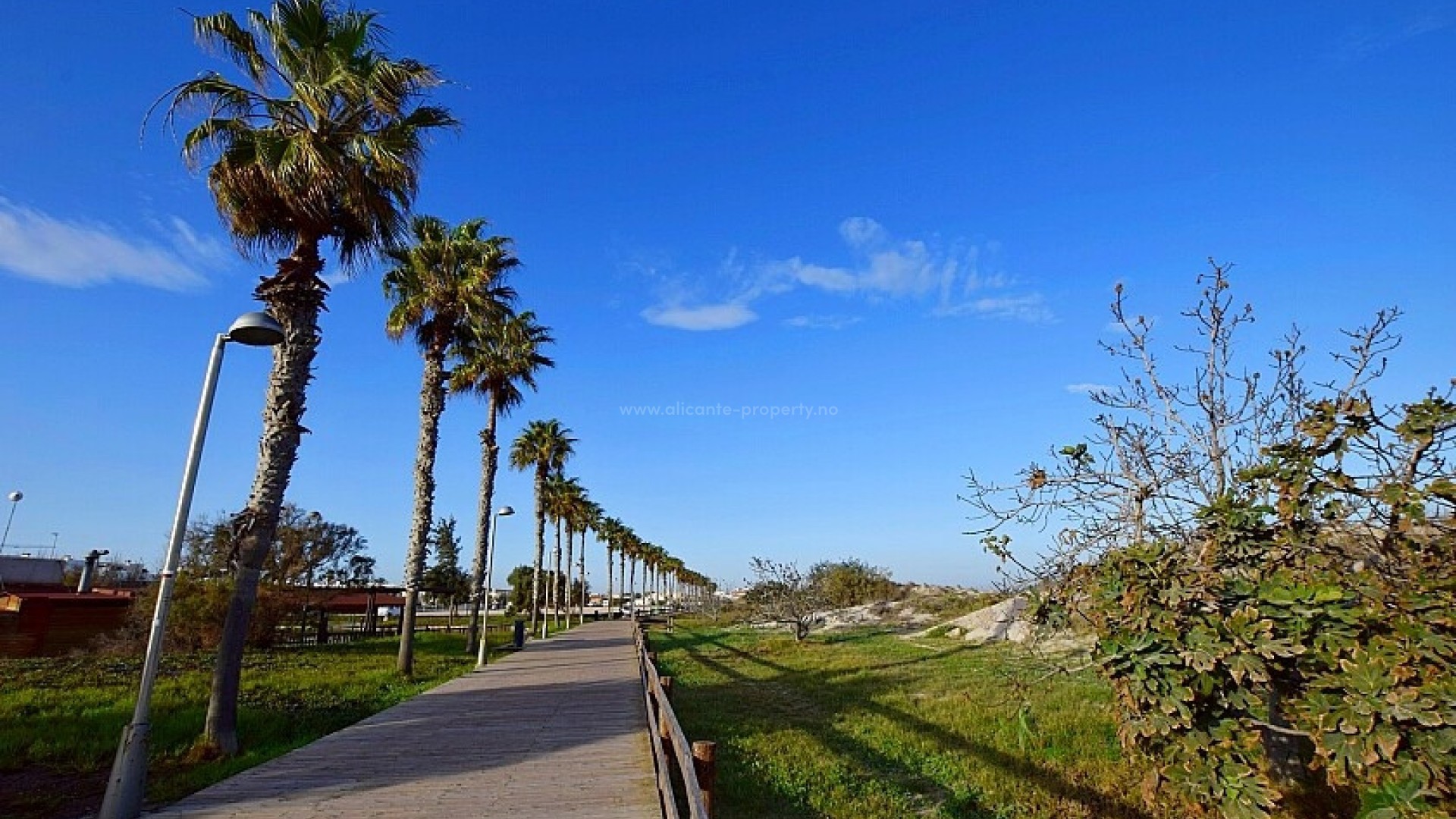Apartamento / piso en Torre De La Horadada