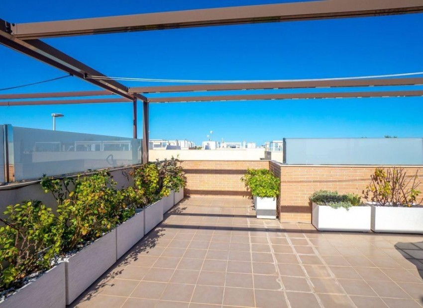 Apartamento / piso en Torre De La Horadada