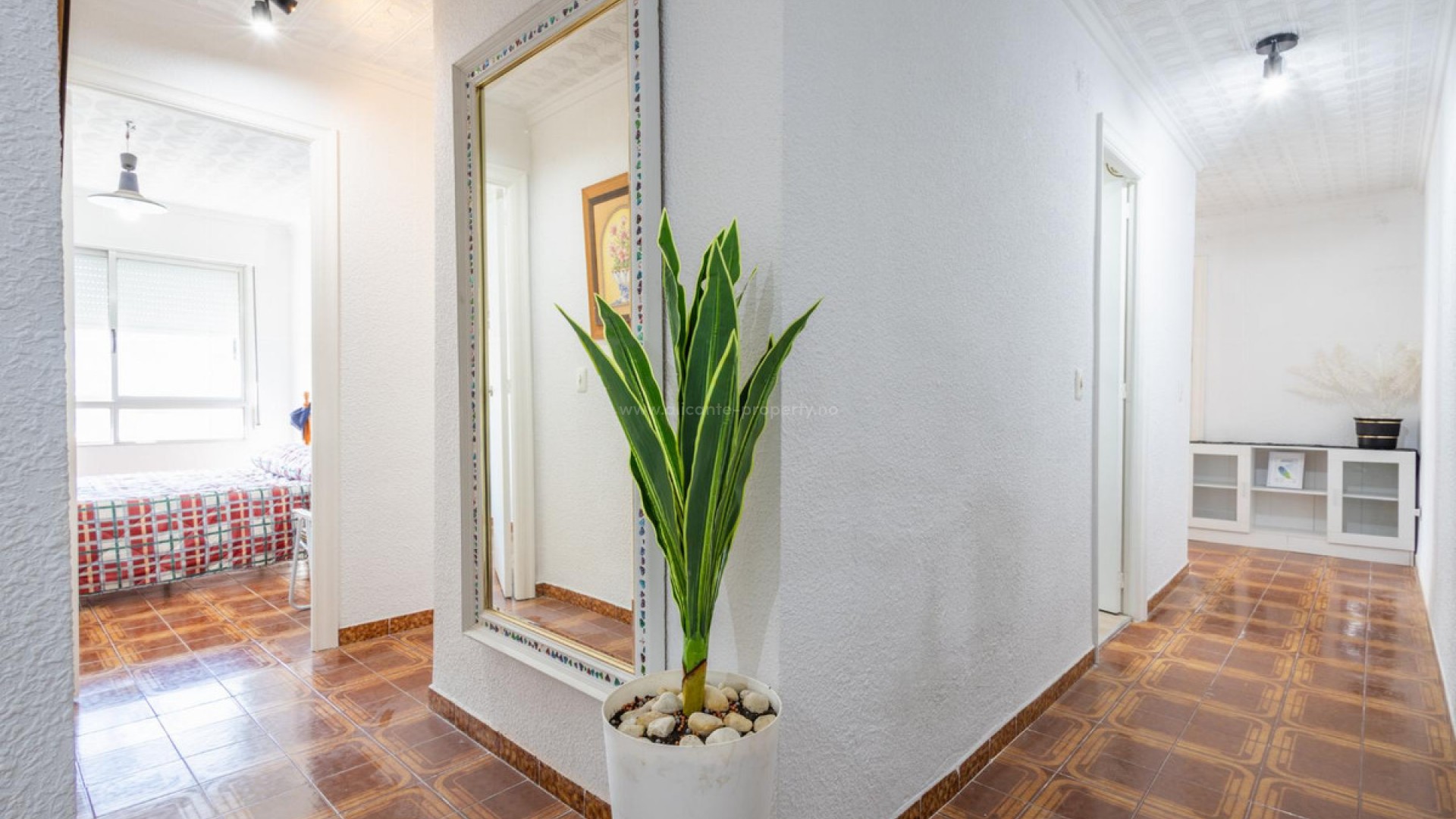 Apartamento / piso en Torrevieja Centro