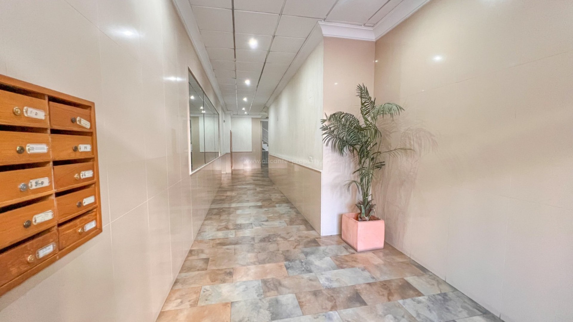 Apartamento / piso en Torrevieja Centro