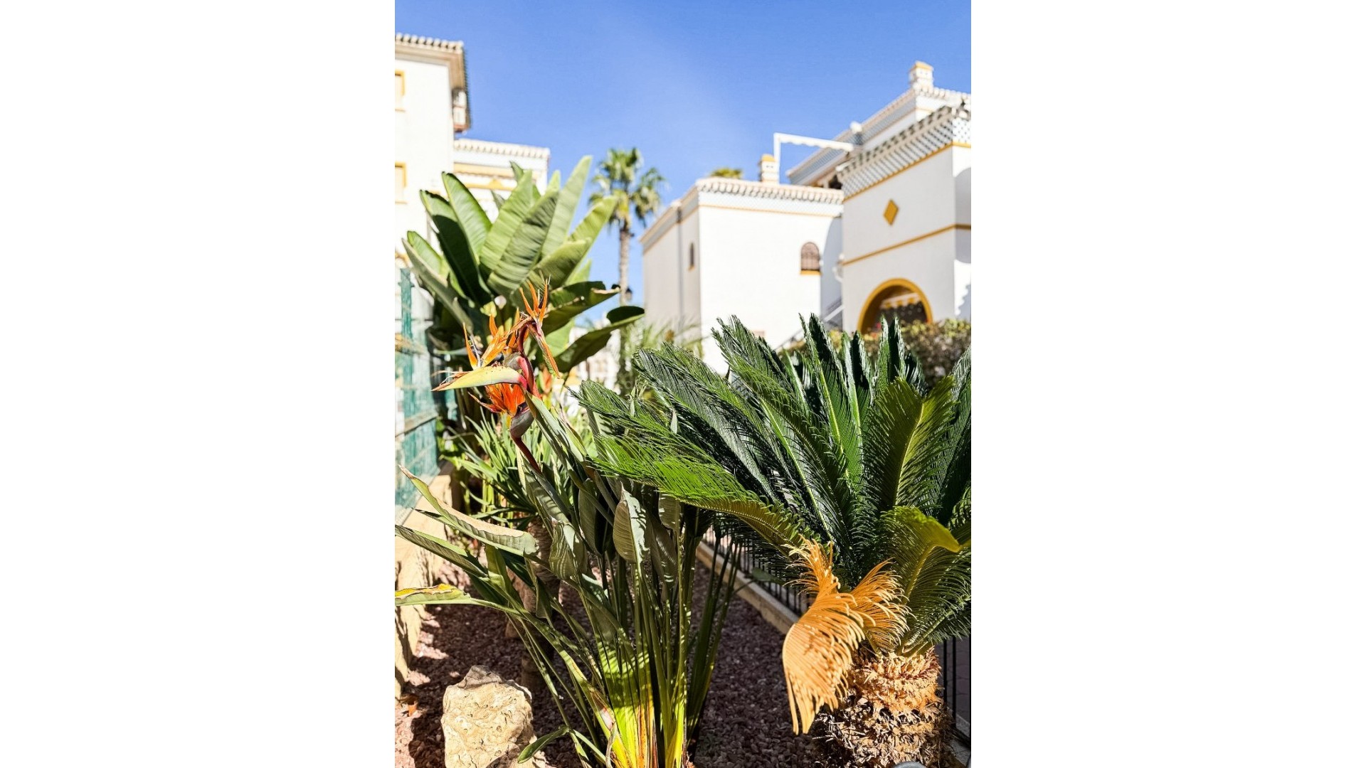 Apartamento / piso en Torrevieja Centro