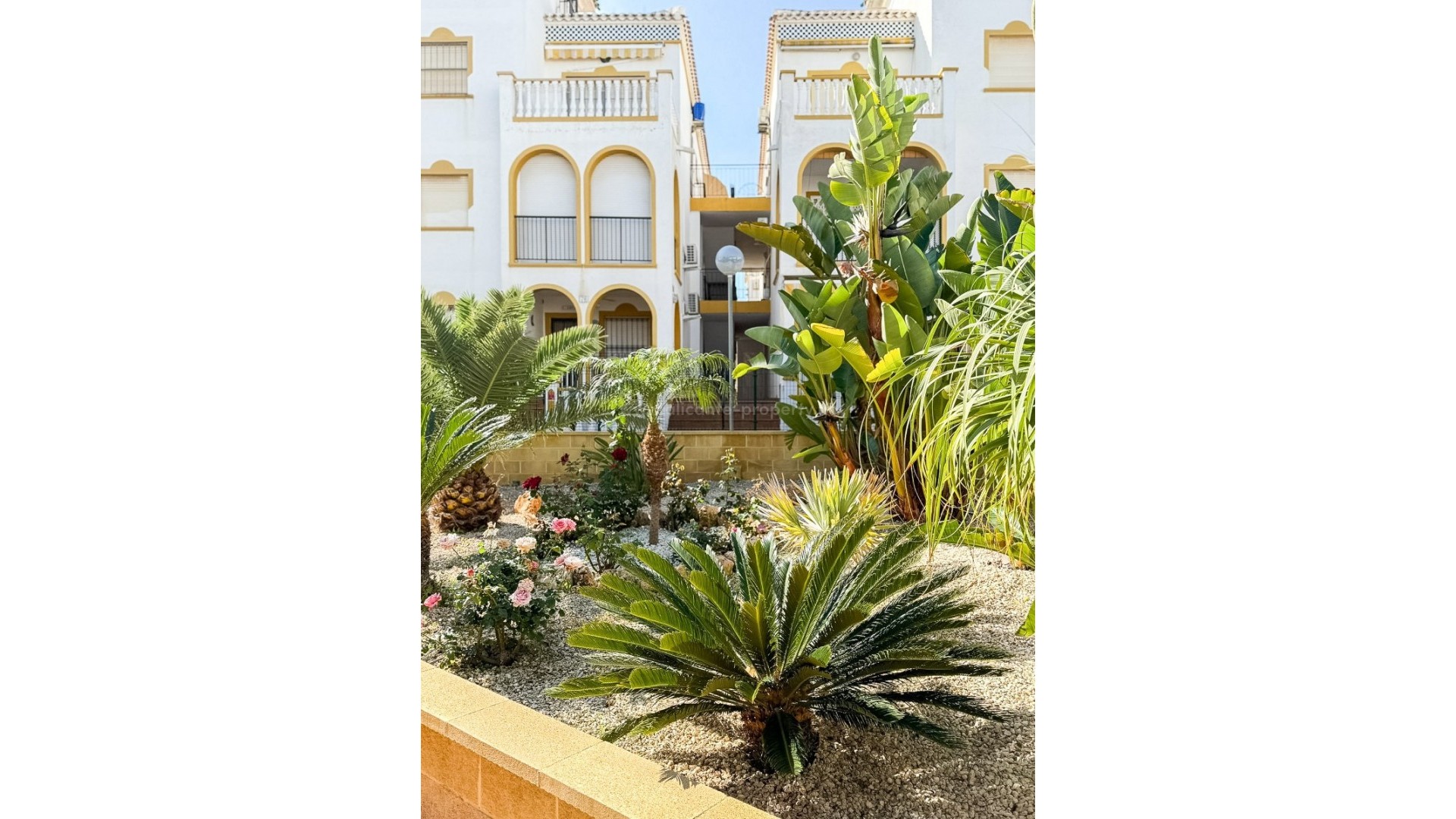 Apartamento / piso en Torrevieja Centro