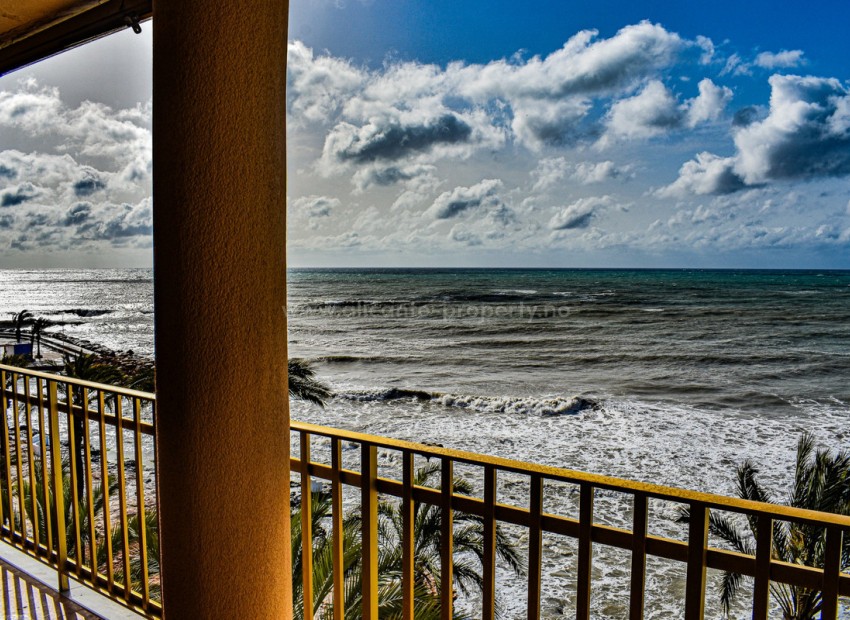 Apartamento / piso en Torrevieja Centro