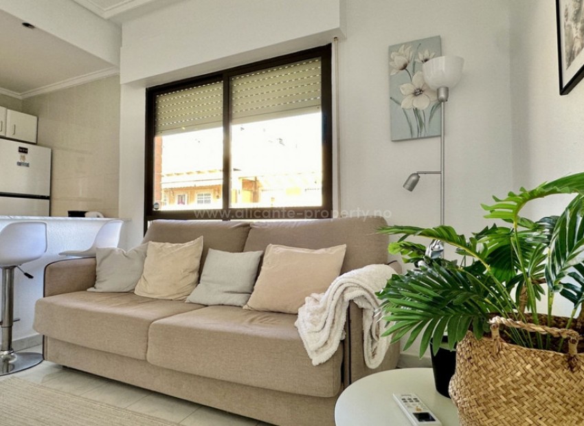 Apartamento / piso en Torrevieja Centro