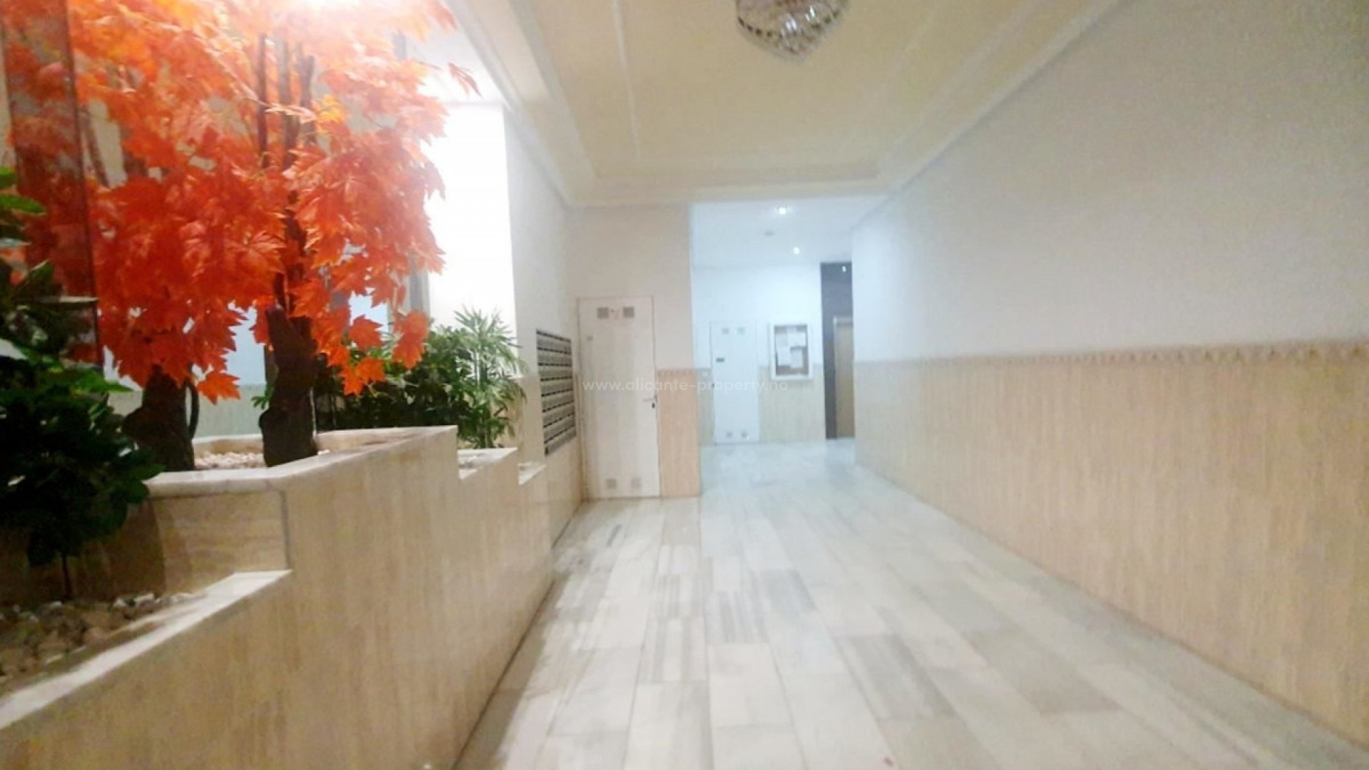 Apartamento / piso en Torrevieja Centro