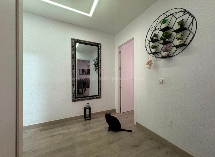 Apartamento / piso en Torrevieja Centro