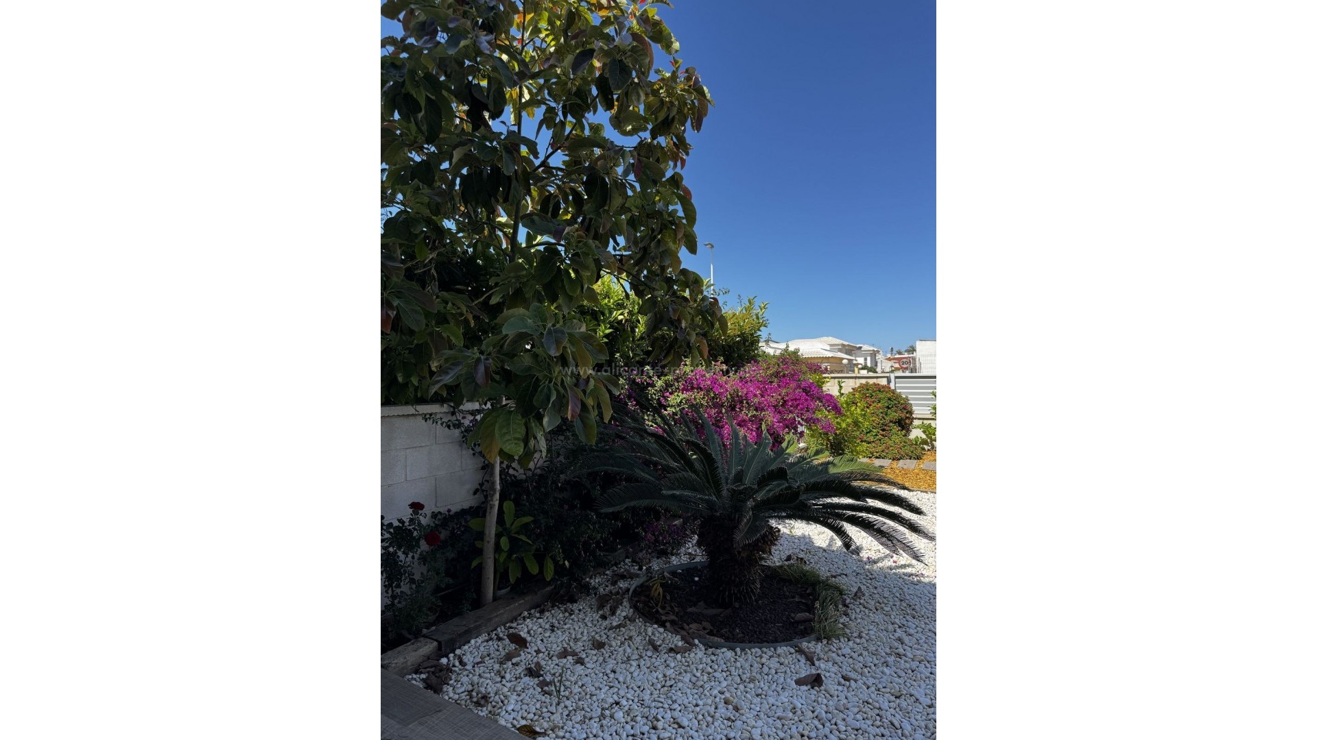 Apartamento / piso en Torrevieja Centro