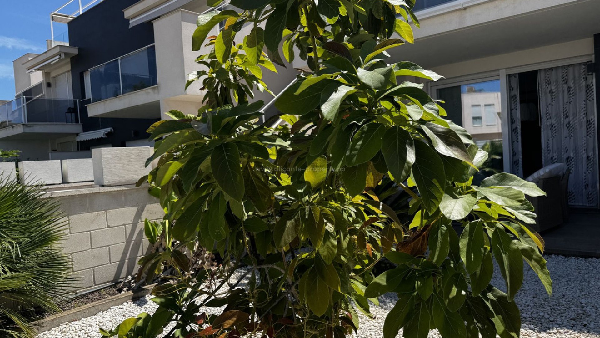 Apartamento / piso en Torrevieja Centro