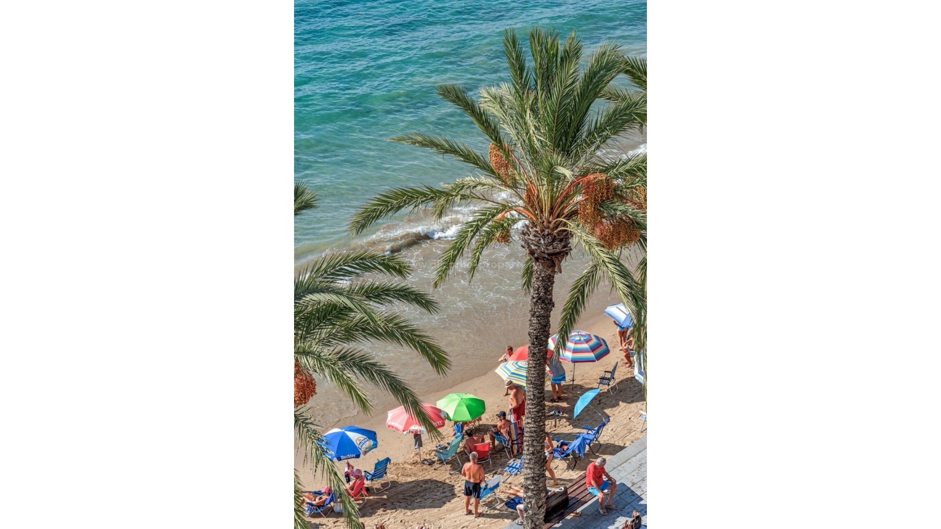 Apartamento / piso en Torrevieja Centro