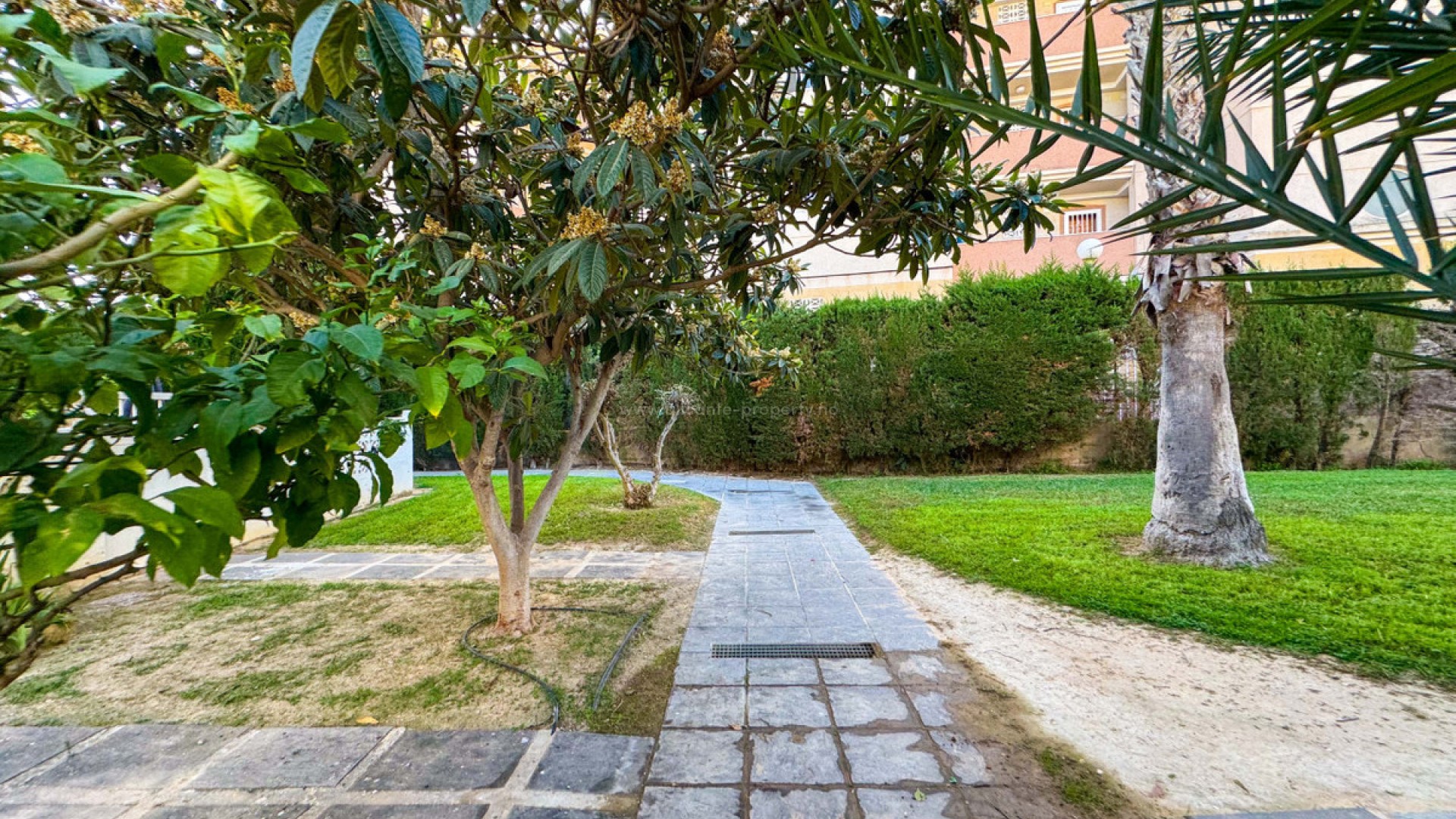 Apartamento / piso en Torrevieja Centro