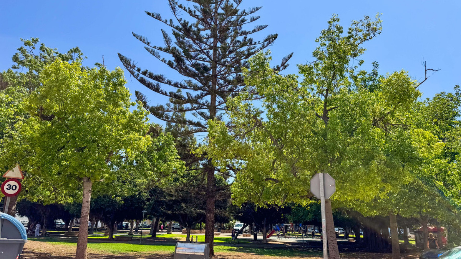 Apartamento / piso en Torrevieja Centro