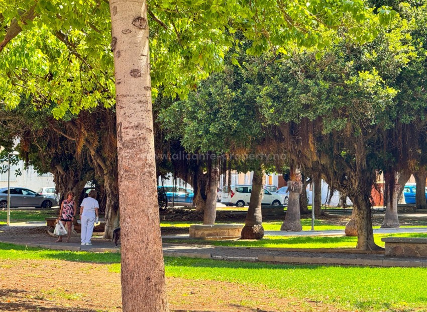 Apartamento / piso en Torrevieja Centro