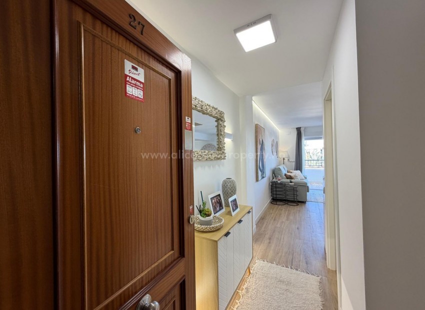 Apartamento / piso en Torrevieja Centro