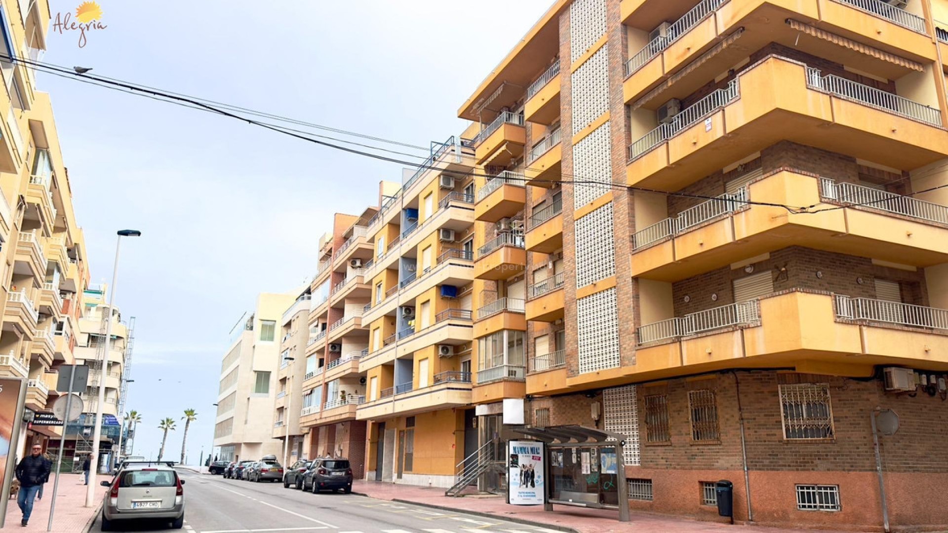 Apartamento / piso en Torrevieja Centro