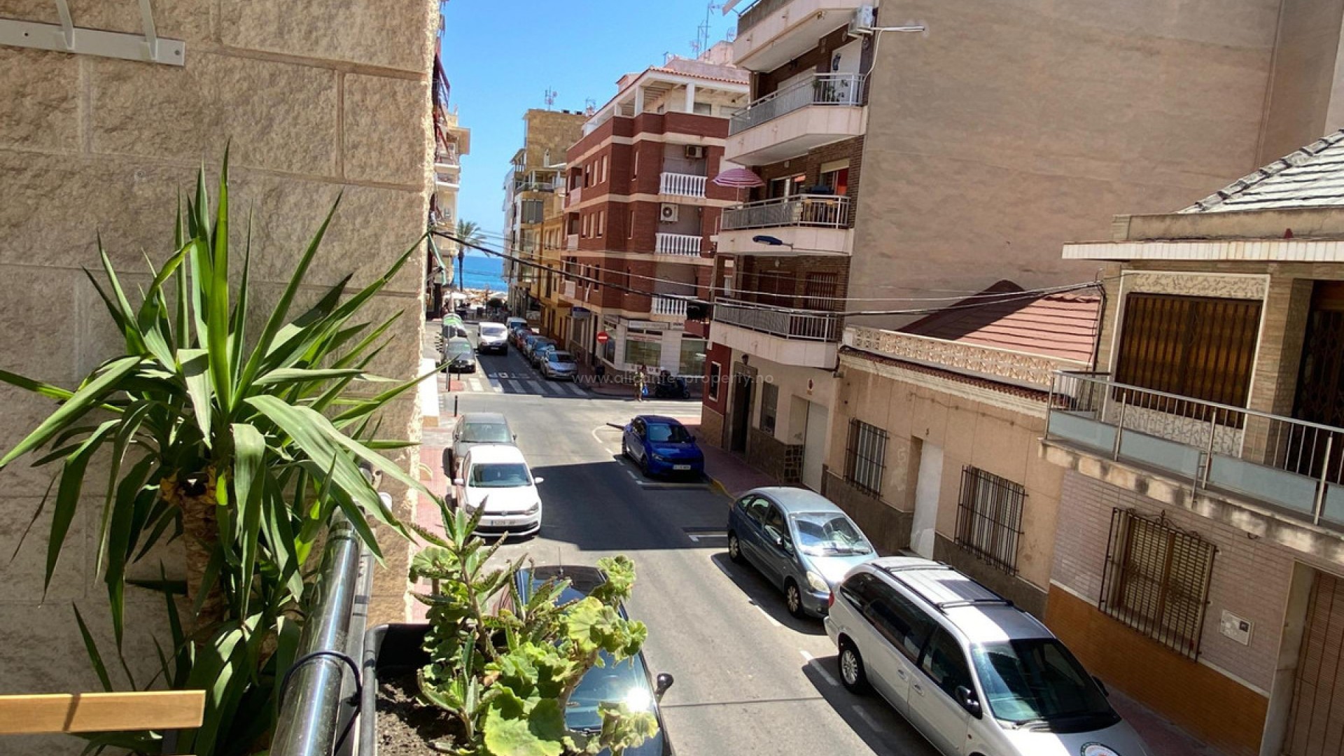 Apartamento / piso en Torrevieja Centro