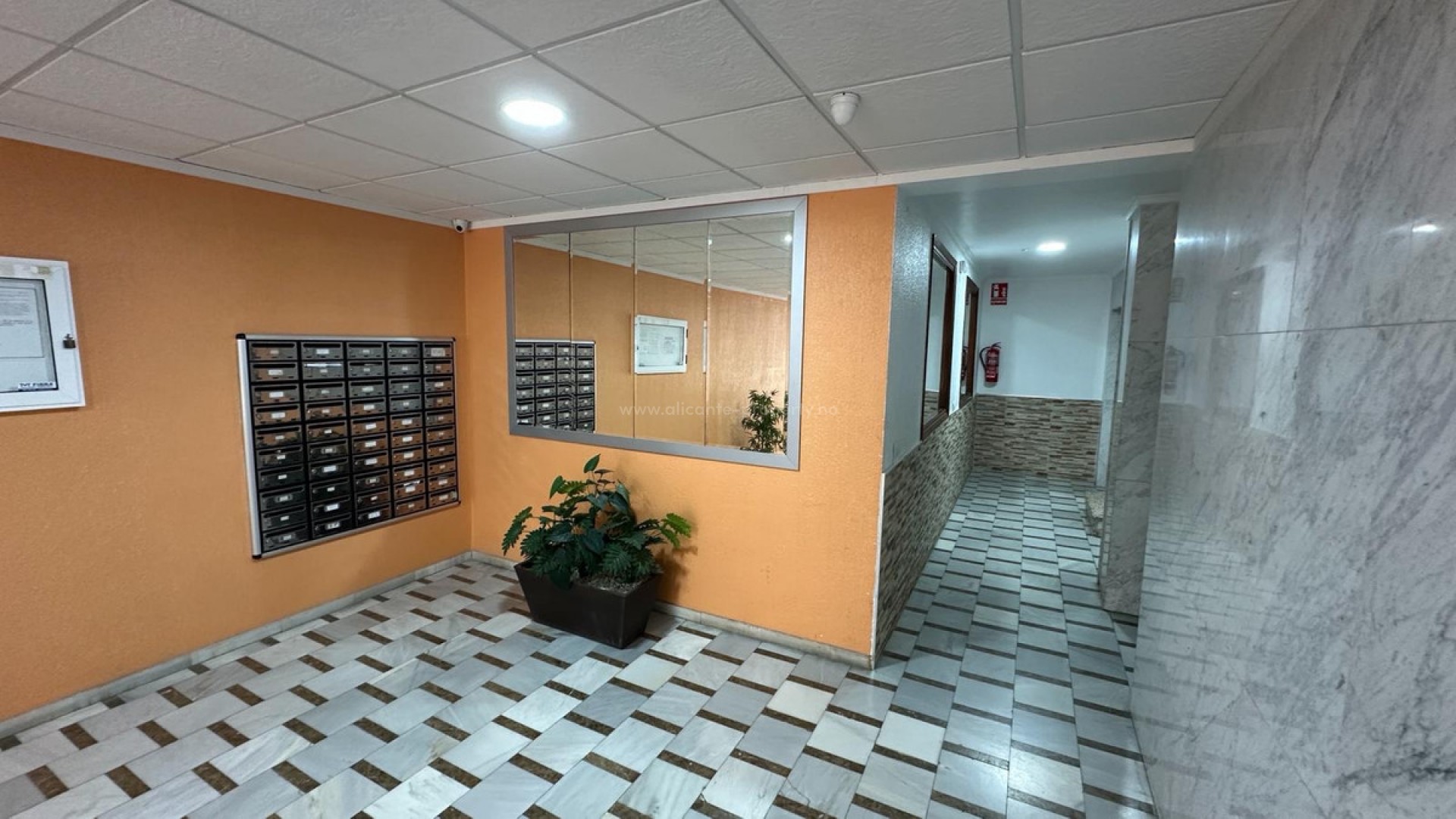 Apartamento / piso en Torrevieja Centro
